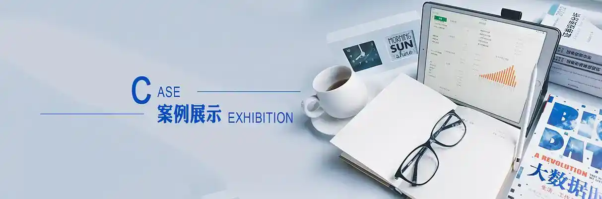 尉犁县软件开发